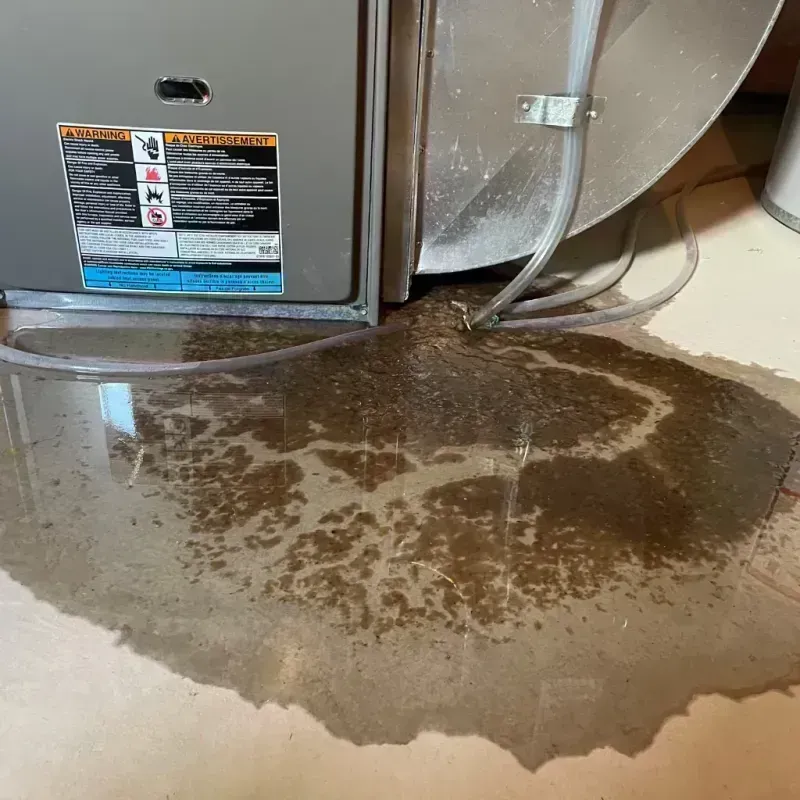 Appliance Leak Cleanup in Walnut Grove, GA